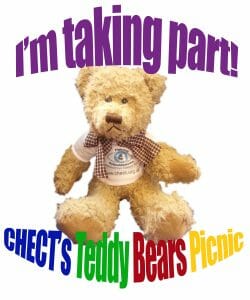 teddy picnic2