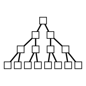 A diagram to show how the cell divides into two cells, and each of those cells divide into two. These are all white squares