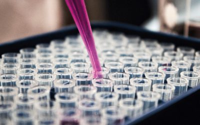 A bumper year for CHECT research