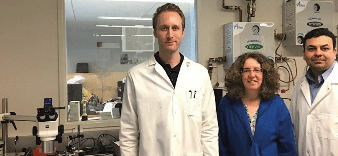 Targeted Antibody-Drug Conjugates for Retinoblastoma Therapy