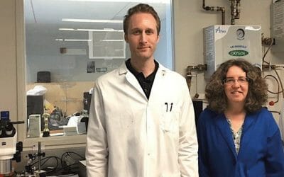 Targeted Antibody-Drug Conjugates for Retinoblastoma Therapy