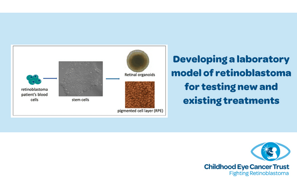 Developing a laboratory model of retinoblastoma for testing new and existing treatments (Dr A Rozanka)