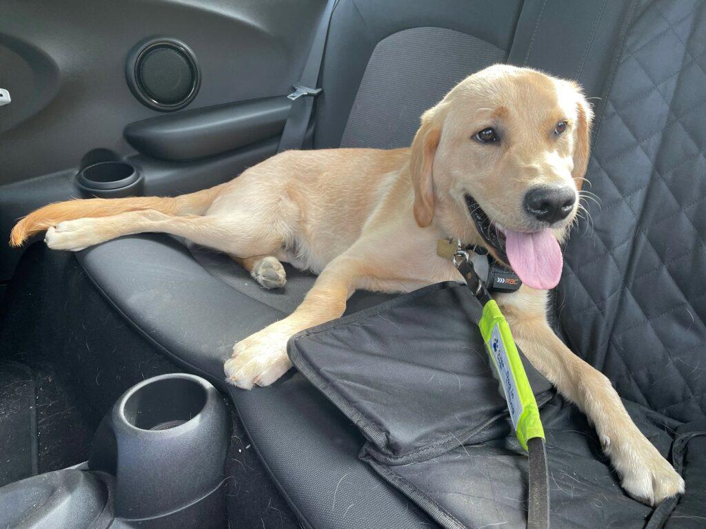 Grinning madly on a car journey