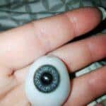 A close up of Frankie's artificial eye