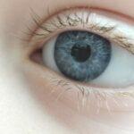 A close up of Frankie's artificial eye